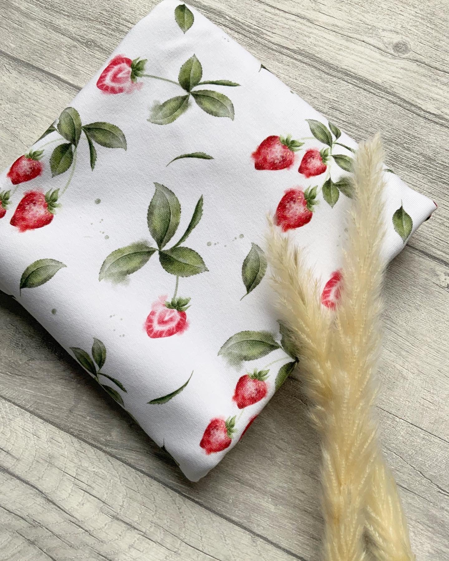 Erdbeeren Dauervorbestellung